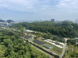 Normanton Park (D5), Apartment #555185031